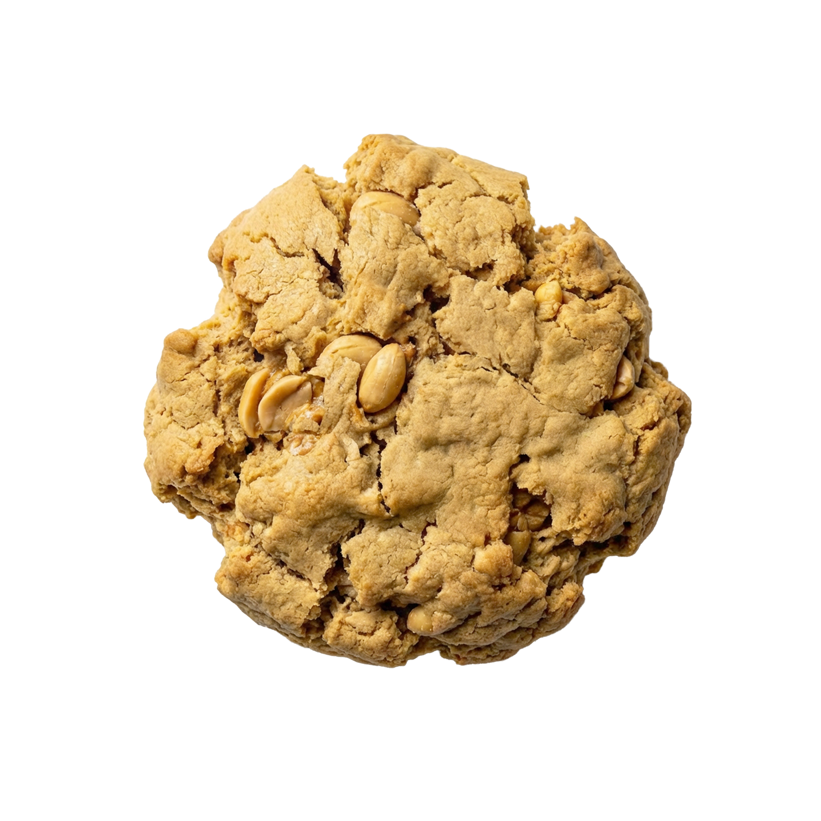 Peanut